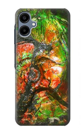 S2694 Ammonite Fossil Hülle Schutzhülle Taschen für Samsung Galaxy A06