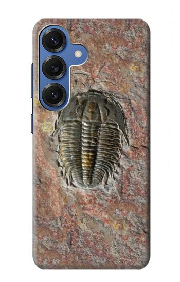 S1454 Trilobite Fossil Hülle Schutzhülle Taschen für Samsung Galaxy S25
