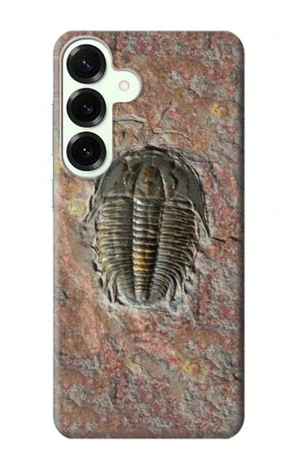 S1454 Trilobite Fossil Hülle Schutzhülle Taschen für Samsung Galaxy S25 Plus