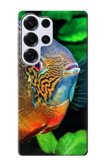 S1812 Cichlid Fish Hülle Schutzhülle Taschen für Samsung Galaxy S25 Ultra
