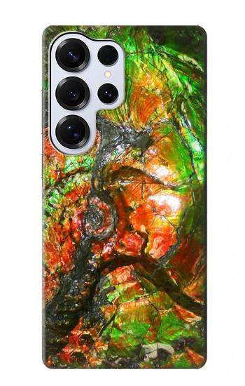 S2694 Ammonite Fossil Hülle Schutzhülle Taschen für Samsung Galaxy S25 Ultra