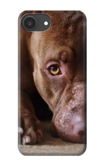 S0519 PitBull Face Hülle Schutzhülle Taschen für iPhone 16e, 17e
