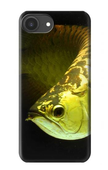 S1021 Gold Arowana Fish Hülle Schutzhülle Taschen für iPhone 16e, 17e