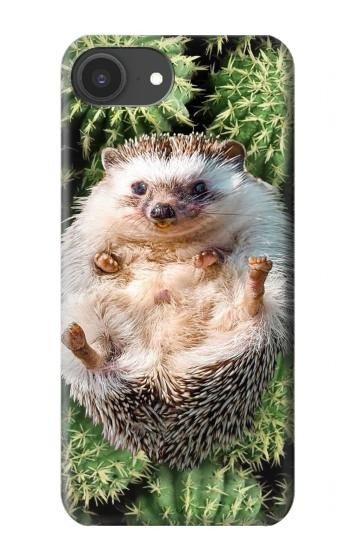 S3863 Pygmy Hedgehog Dwarf Hedgehog Paint Hülle Schutzhülle Taschen für iPhone 16e, 17e