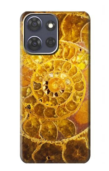 S1789 Ammonite Fossils Hülle Schutzhülle Taschen für Motorola Moto G Power (2025,2026)