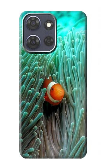 S3893 Ocellaris clownfish Hülle Schutzhülle Taschen für Motorola Moto G Power (2025,2026)