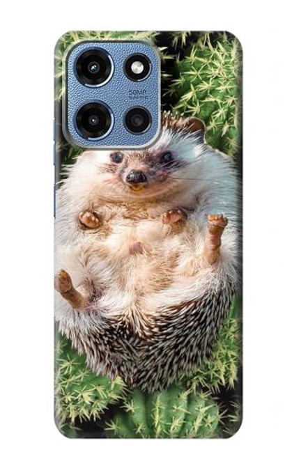S3863 Pygmy Hedgehog Dwarf Hedgehog Paint Hülle Schutzhülle Taschen für Motorola Moto G 5G (2025)