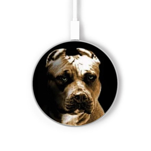 S0520 PitBull Kabelloses Ladegerät Pad 15W Typ-C iPhone Android LED Licht Ladestation
