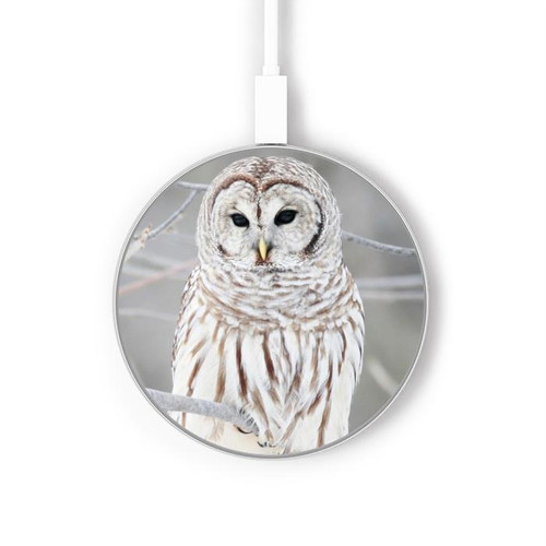 S1566 Snowy Owl White Owl Kabelloses Ladegerät Pad 15W Typ-C iPhone Android LED Licht Ladestation