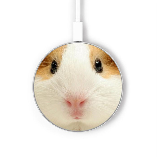 S1619 Cute Guinea Pig Kabelloses Ladegerät Pad 15W Typ-C iPhone Android LED Licht Ladestation