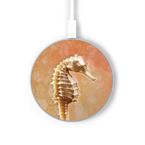 S2674 Seahorse Skeleton Fossil Kabelloses Ladegerät Pad 15W Typ-C iPhone Android LED Licht Ladestation