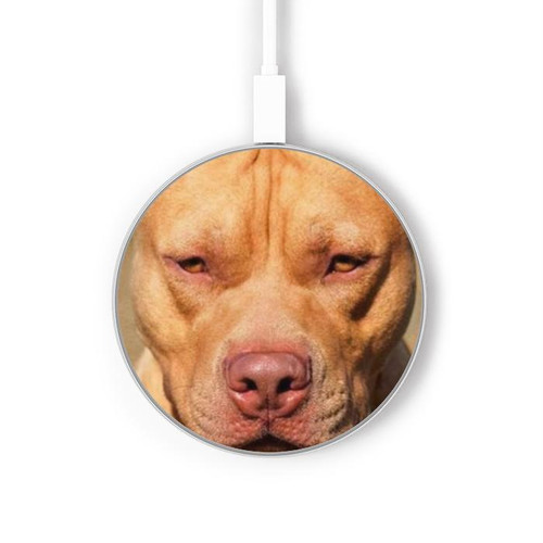 S2903 American Pitbull Dog Kabelloses Ladegerät Pad 15W Typ-C iPhone Android LED Licht Ladestation