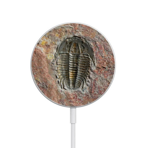 S1454 Trilobite Fossil Magnetisches kabelloses Ladepad mit MagSafe 15W für iPhone 16 15 14 13 12