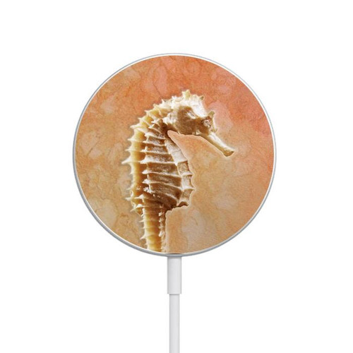 S2674 Seahorse Skeleton Fossil Magnetisches kabelloses Ladepad mit MagSafe 15W für iPhone 16 15 14 13 12