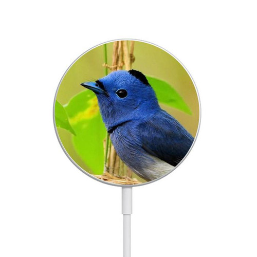 S3839 Bluebird of Happiness Blue Bird Magnetisches kabelloses Ladepad mit MagSafe 15W für iPhone 16 15 14 13 12