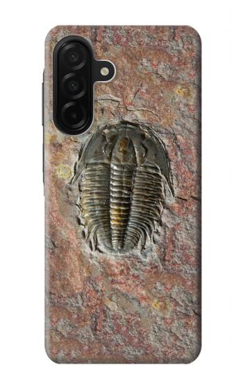 S1454 Trilobite Fossil Hülle Schutzhülle Taschen für Samsung Galaxy A26