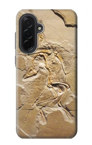 S0380 Dinosaur Fossil Hülle Schutzhülle Taschen für Samsung Galaxy A36
