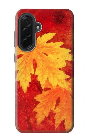 S0479 Maple Leaf Hülle Schutzhülle Taschen für Samsung Galaxy A36