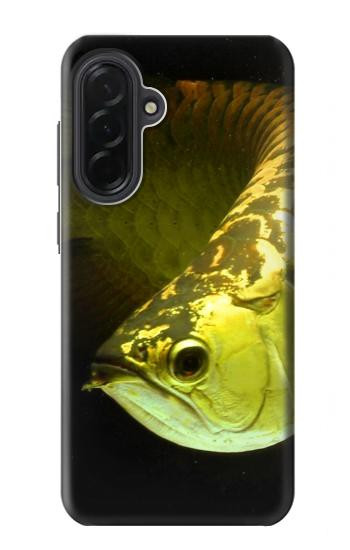 S1021 Gold Arowana Fish Hülle Schutzhülle Taschen für Samsung Galaxy A36