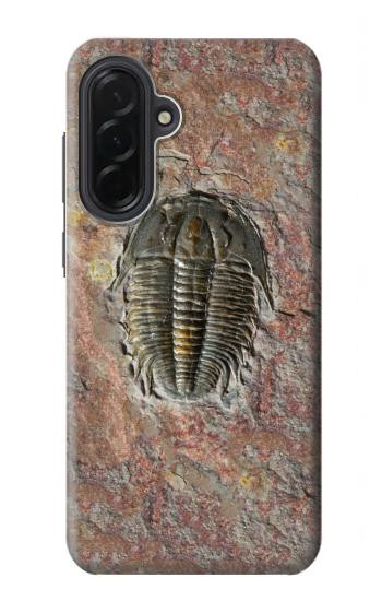 S1454 Trilobite Fossil Hülle Schutzhülle Taschen für Samsung Galaxy A36
