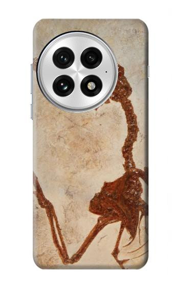 S0379 Dinosaur Fossil Hülle Schutzhülle Taschen für OnePlus 13