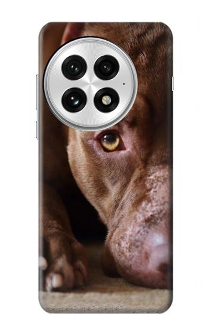 S0519 PitBull Face Hülle Schutzhülle Taschen für OnePlus 13