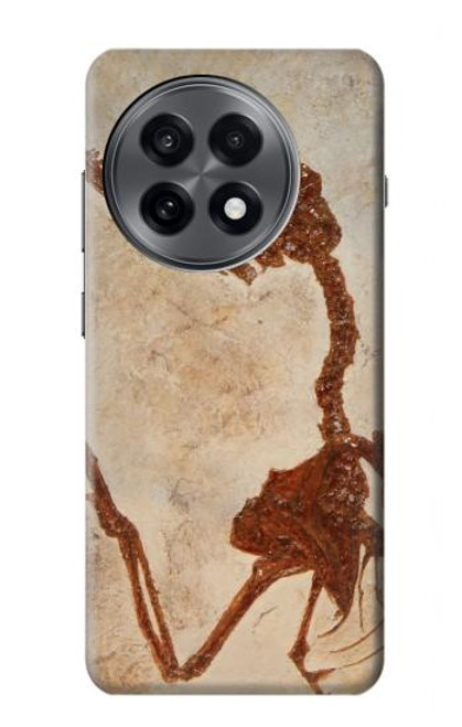 S0379 Dinosaur Fossil Hülle Schutzhülle Taschen für OnePlus 13R