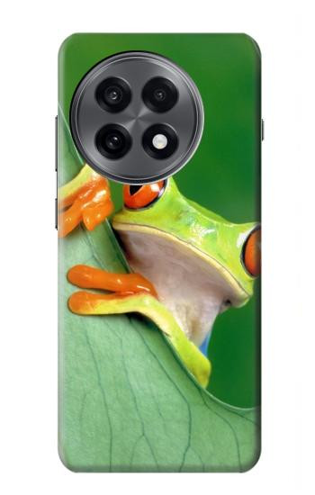 S1047 Little Frog Hülle Schutzhülle Taschen für OnePlus 13R