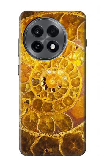 S1789 Ammonite Fossils Hülle Schutzhülle Taschen für OnePlus 13R