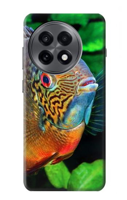 S1812 Cichlid Fish Hülle Schutzhülle Taschen für OnePlus 13R