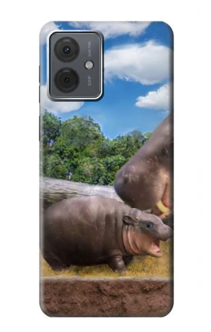 S4031 Baby Hippo Hippopotamus Family Hülle Schutzhülle Taschen für Motorola Moto G14