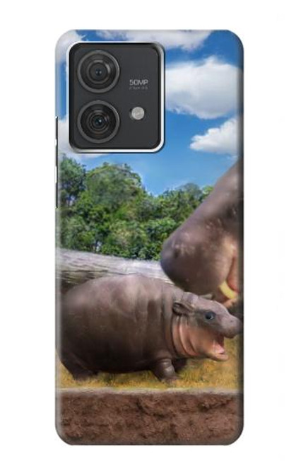 S4031 Baby Hippo Hippopotamus Family Hülle Schutzhülle Taschen für Motorola Edge 40 Neo