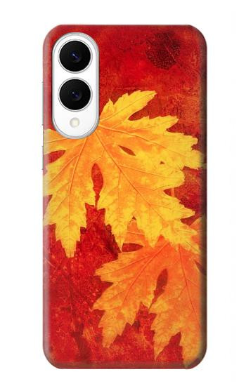 S0479 Maple Leaf Hülle Schutzhülle Taschen für Samsung Galaxy S25 Edge