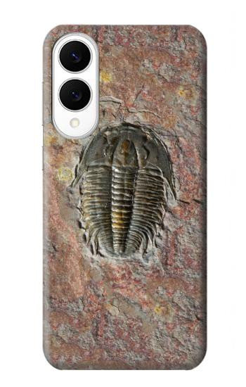 S1454 Trilobite Fossil Hülle Schutzhülle Taschen für Samsung Galaxy S25 Edge