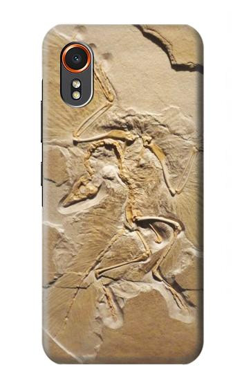 S0380 Dinosaur Fossil Hülle Schutzhülle Taschen für Samsung Galaxy XCover7