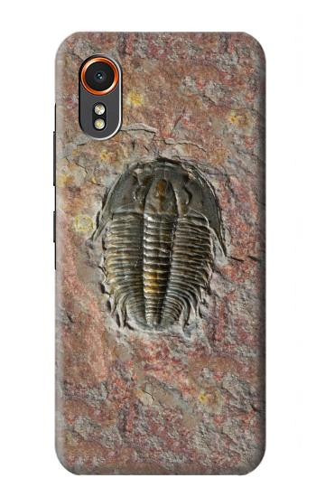S1454 Trilobite Fossil Hülle Schutzhülle Taschen für Samsung Galaxy XCover7