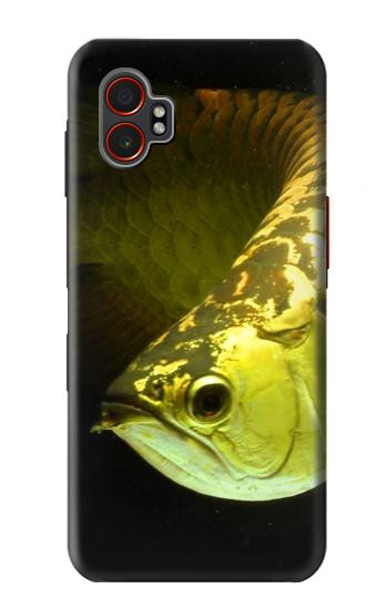 S1021 Gold Arowana Fish Hülle Schutzhülle Taschen für Samsung Galaxy XCover7 Pro