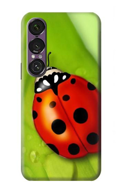 S0892 Ladybug Hülle Schutzhülle Taschen für Sony Xperia 1 VII