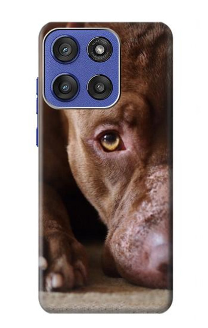 S0519 PitBull Face Hülle Schutzhülle Taschen für Motorola Moto G Stylus 5G (2025), Edge 60 Stylus
