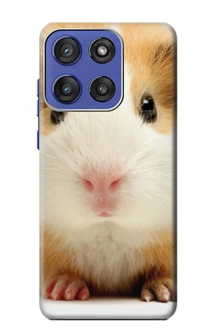 S1619 Cute Guinea Pig Hülle Schutzhülle Taschen für Motorola Moto G Stylus 5G (2025), Edge 60 Stylus