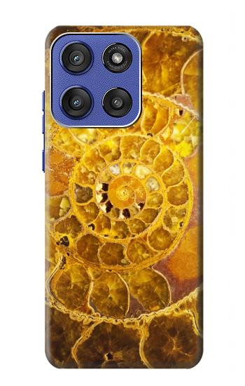 S1789 Ammonite Fossils Hülle Schutzhülle Taschen für Motorola Moto G Stylus 5G (2025,2026), Edge 60 Stylus