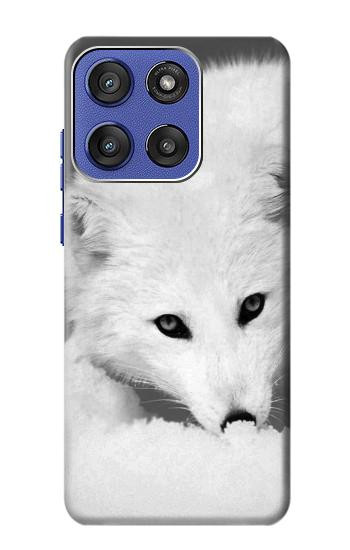 S2569 White Arctic Fox Hülle Schutzhülle Taschen für Motorola Moto G Stylus 5G (2025,2026), Edge 60 Stylus