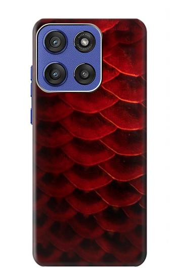 S2879 Red Arowana Fish Scale Hülle Schutzhülle Taschen für Motorola Moto G Stylus 5G (2025,2026), Edge 60 Stylus