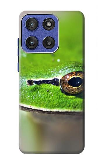 S3845 Green frog Hülle Schutzhülle Taschen für Motorola Moto G Stylus 5G (2025,2026), Edge 60 Stylus