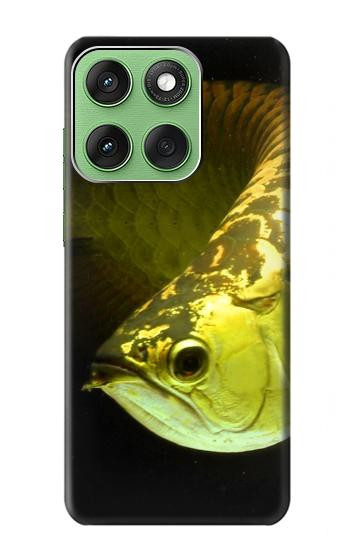 S1021 Gold Arowana Fish Hülle Schutzhülle Taschen für Motorola Edge 60