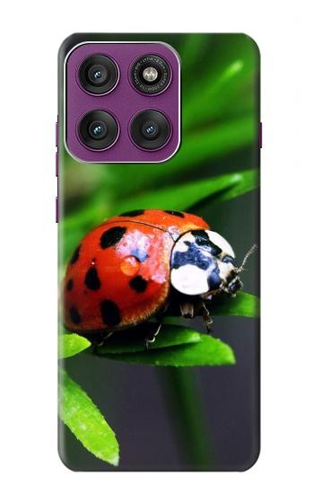 S0263 Ladybug Hülle Schutzhülle Taschen für Motorola Edge 60 Pro