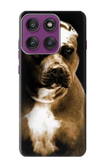 S0520 PitBull Hülle Schutzhülle Taschen für Motorola Edge 60 Pro