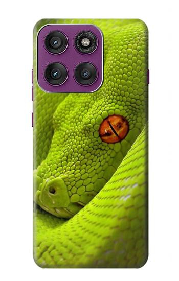 S0785 Green Snake Hülle Schutzhülle Taschen für Motorola Edge 60 Pro