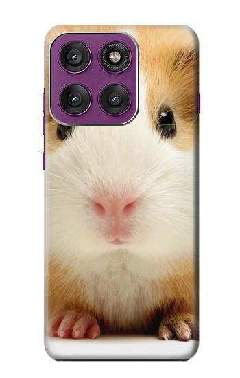 S1619 Cute Guinea Pig Hülle Schutzhülle Taschen für Motorola Edge 60 Pro
