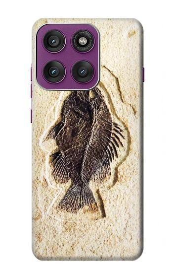 S2562 Fossil Fish Hülle Schutzhülle Taschen für Motorola Edge 60 Pro